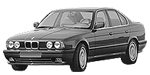 BMW E34 P060F Fault Code